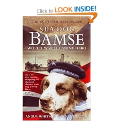 Sea Dog Bamse: World War II Canine Hero