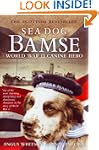Sea Dog Bamse: World War II Canine Hero
