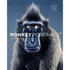 Monkey Portraits