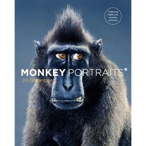 Monkey Portraits