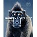 Monkey Portraits