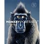Monkey Portraits