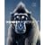 Monkey Portraits