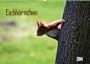 Eichh�rnchen (Wandkalender 2014 DIN A3 quer)