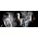 Thumbnail image of Qemists
