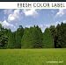 FRESH COLOR LABEL compilation vol.1