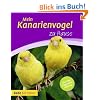 Mein Kanarienvogel zu Hause
