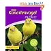 Mein Kanarienvogel zu Hause