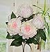 Wuudi Artificial Flower Bouquet Pink Peony 1 Bunch of 5 flowers (1)