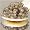 Sevruga Caviar -
