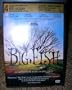 Big Fish