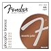 Fender 60L Saitensatz Akustik 012-053