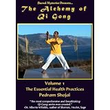 The Alchemy of Qi Gong Volume I: The Essential Health Practices