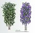 TWO Artificial Trees - 7' Very Full Ficus + 6.5' Wisteria with Real Wood Trunks