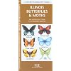Illinois Butterflies and Moths: An Introduction to Familiar Species (State Nature Guides)
