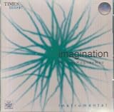 Imagination Instrumental