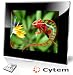 Cytem VX15-pro schwarz, Digitaler Bilderrahmen 38,1 cm (15 Zoll) (1024x768 / 4:3), Echte Zufallswiedergabe, Ordnerbasierte Diaschau, Diaschau Fortsetzen nach Standby / hochwertiger Acrylrahmen