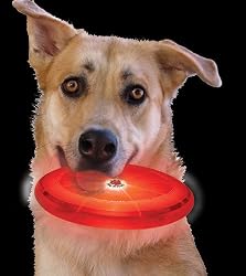 Dog Discuit Red Light-Up Disc