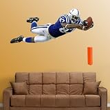 NFL Reggie Wayne Vinyl Wall Graphic Decal Sticker Poster
