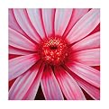 Anika 1033 Original Hand-Painted Oil on Canvas by Carl Sebastian- 32x32"