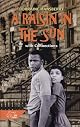 A Raisin in the Sun With Connections (Hrw Library)