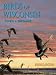 Birds of Wisconsin