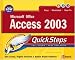 Microsoft Office Access 2003 QuickSteps