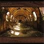 Requiem For Abandoned Souls ~ Raison D'Etre