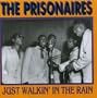 Just Walkin in the Rain