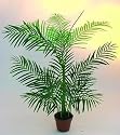 Areca Palme 13 Bl&auml;tter im Topf 110cm