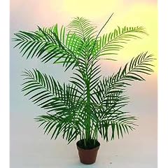 Areca Palme 13 Bl�tter im Topf 110cm