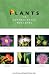 Search : Plants of Central Texas Wetlands (Grover E. Murray Series in the American Southwest) (Grover E. Murray Studies in the American Southwest)