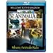 Animalia: Welcome to the Kingdom [Blu-ray]