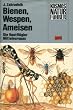 Bienen, Wespen, Ameisen. Die Hautfl�gler Mitteleuropas