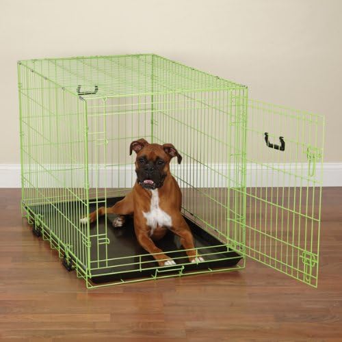 ProSelect Crate Appeal Fashion Color Dog Crates for Dogs and Pets