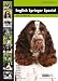 English Springer Spaniel: Dog Breed Expert Series