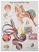 3B Scientific VR0243UU Glossy Paper Das Menschliche Ohr Anatomical Chart (Human Ear Anatomical Chart, German), Poster Size 20