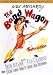 The Band Wagon -2-Disc Special Edition [DVD] [1953]