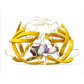 Photographic Prints of HIV protease inhibitor drug molecule from Science Photo Library
