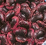 Bean Black-Red Akahana Mame