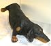 dachshund4 - Peeing Pissing Black Doxie Dachshund Lawn Garden Decor