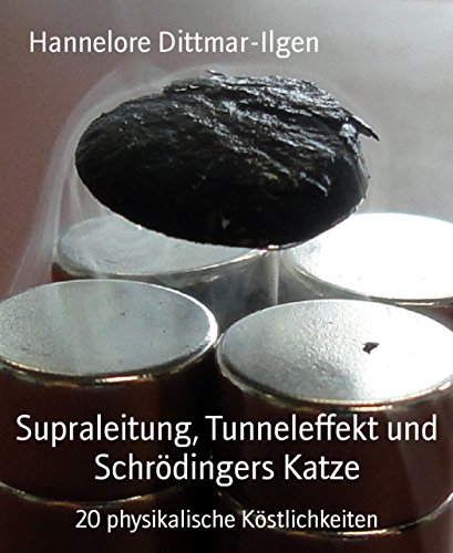 Supraleitung, Tunneleffekt und Schrödingers Katze: 20 physikalische Köstlichkeiten (German Edition)