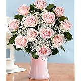 Pink Roses
