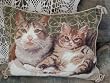 Gorgeous Wool Needlepoint Cushion Cover/Pillow Sham 30
