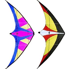 2 DUAL LINE CONTROL 81" STUNT KITE SPORT KITES