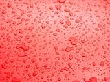 51lcY Ll4IL. SL160  Sweat No More! Americas Favorite Tips and Tricks To Reduce Sweating