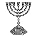 Menorah - Seven Branch Menorah, Pewter 7 Branch Candle Holder by Rimmon Judaica