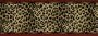 Leopard Print Wallpaper Border