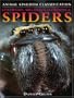 Centipedes, Millipedes, Scorpions & Spiders (Animal Kingdom Classification)