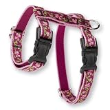 Lupine Adjustable H-Style Harness 1/2 in. x 12 in. x 20 in. - Cherry Blosson